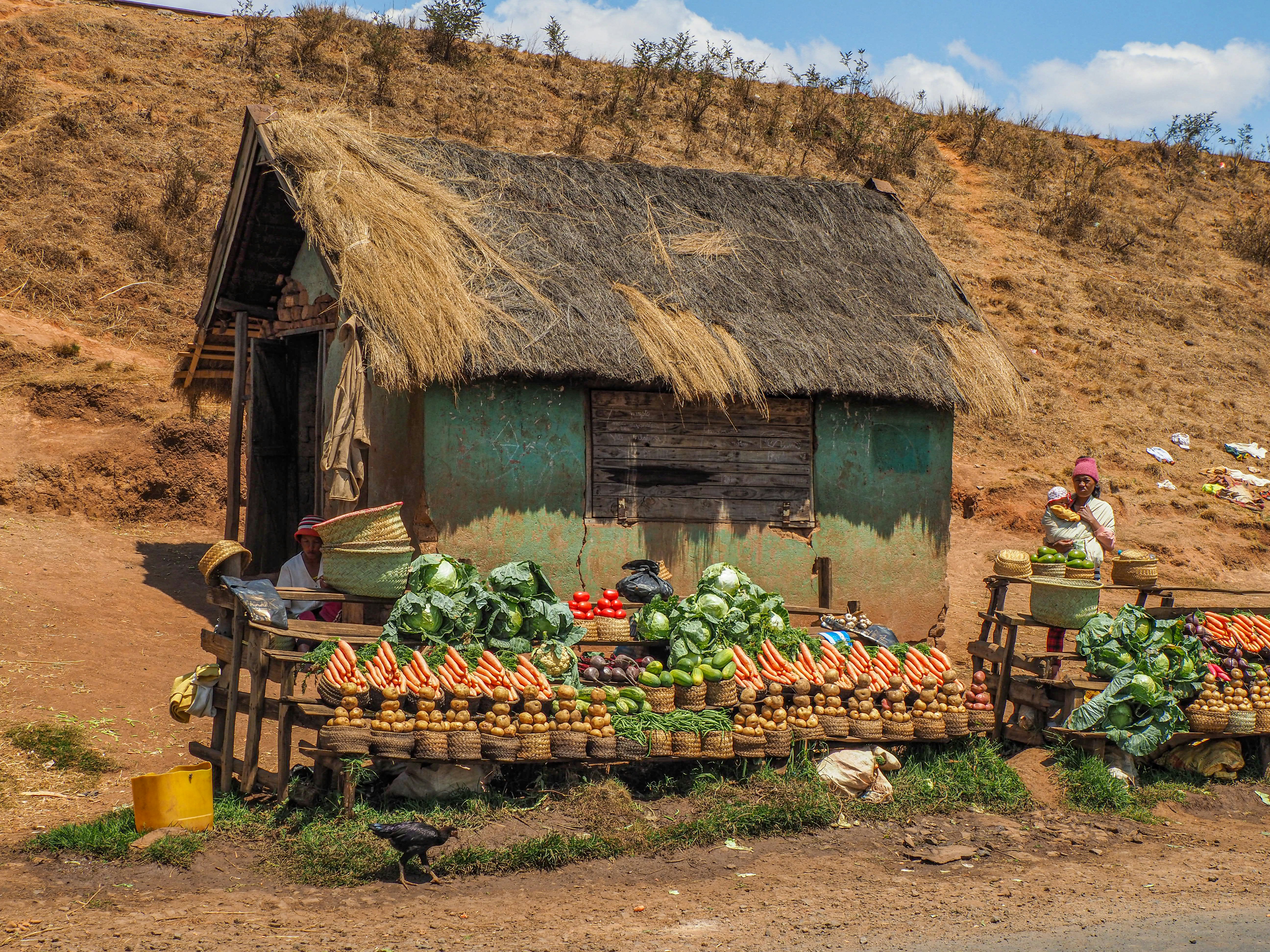 Agrocapital’s Role in Uganda’s Financial Ecosystem: Bridging Gaps with Technology