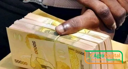 📈 Facing Uganda’s Loan Repayment Challenges: How AgroCapital Microcredit Uganda Ltd Is Responding in 2025